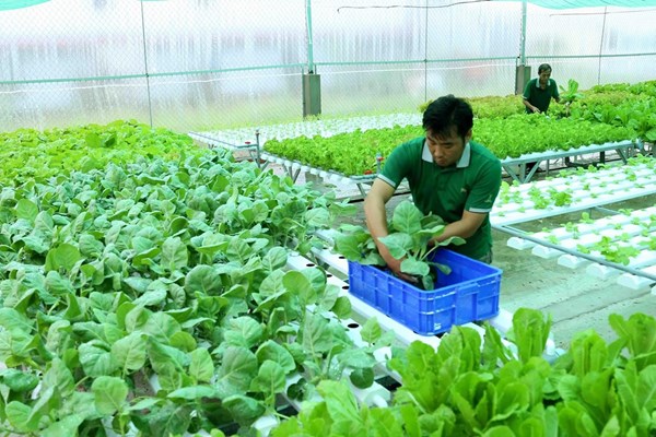 Kế hoạch phát triển kinh tế tập thể hợp tác xã giai đoạn 2021-2025