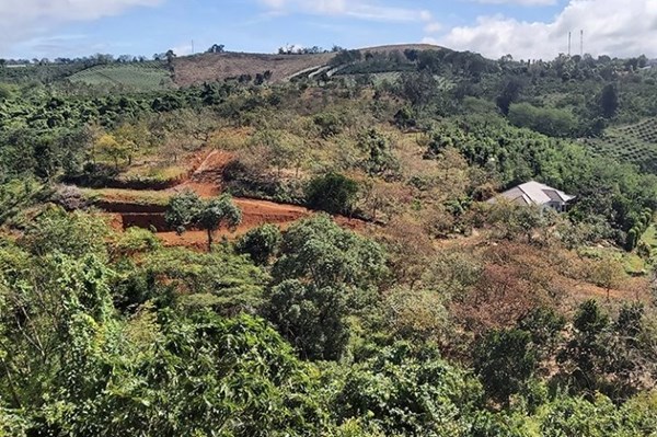 Đắk Nông: Ứng vốn GPMB cho dự án khu đô thị mới tại phường Nghĩa Đức