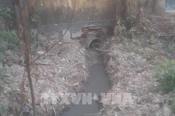 Công ty cổ phần giấy Rạng Đông xả nước thải trực tiếp ra môi trường