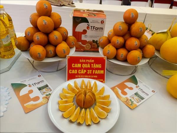 Nâng tầm trái cây Việt