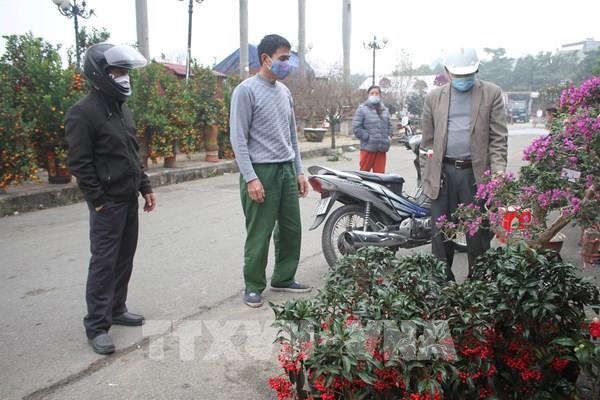 Thị trường hoa cây cảnh Tết đìu hiu: Tiểu thương thấp thỏm lo âu