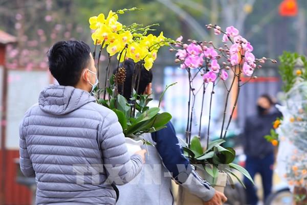 Công bố thông tin Chợ hoa Xuân Bình Điền Tết Giáp Thìn 2024