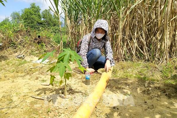 Phản hồi thông tin của TTXVN: Khánh Hòa kiểm tra đột xuất hoạt động doanh nghiệp