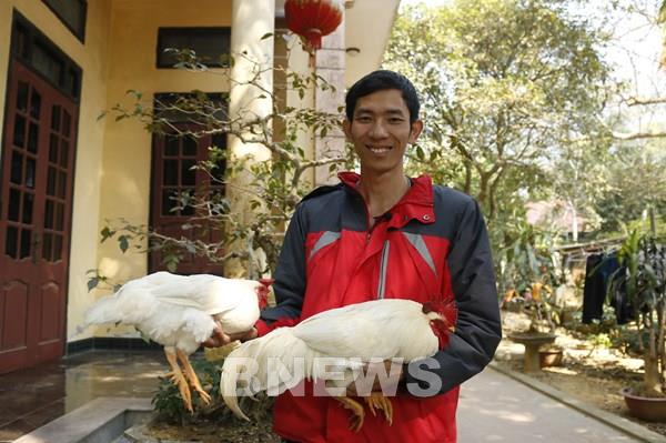 Vlogger chăn gà chín cựa