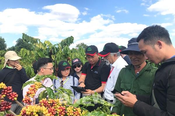 Nestlé hướng tới phát triển bền vững