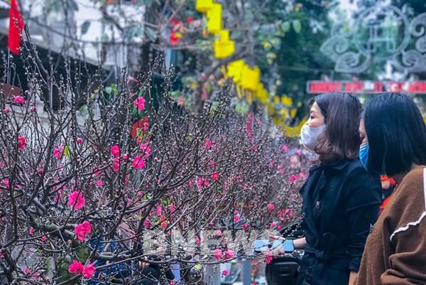 Chợ hoa cổ hơn 100 tuổi, hoài niệm không khí Tết xưa của phố phường Hà Nội