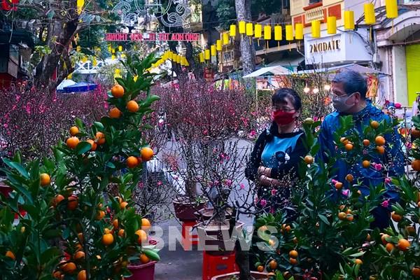 Chợ hoa Hàng Lược năm nay có gì mới lạ?