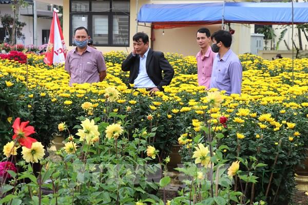 Hoa, cảnh Tết sớm ở Quảng Trị “hút” người mua