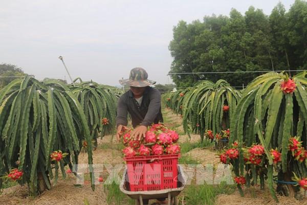 Xuất khẩu nông, lâm, thủy sản có khả năng vượt 47 tỷ USD