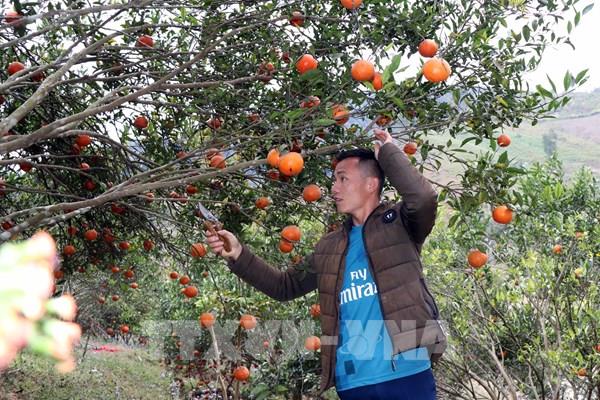 Sự "chuyển mình" nơi vùng biên Sốp Cộp, Sơn La