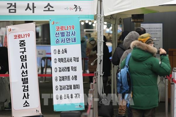 Hàn Quốc: Thủ đô Seoul xét nghiệm COVID-19 cho chó, mèo nuôi