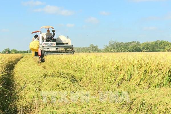 Nông nghiệp tiếp tục khẳng định vai trò là trụ đỡ của nền kinh tế