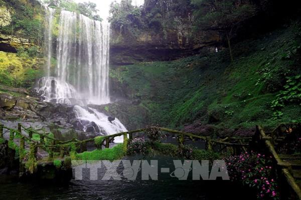 Ngỡ ngàng trước vẻ đẹp hoang sơ của thác Đambri