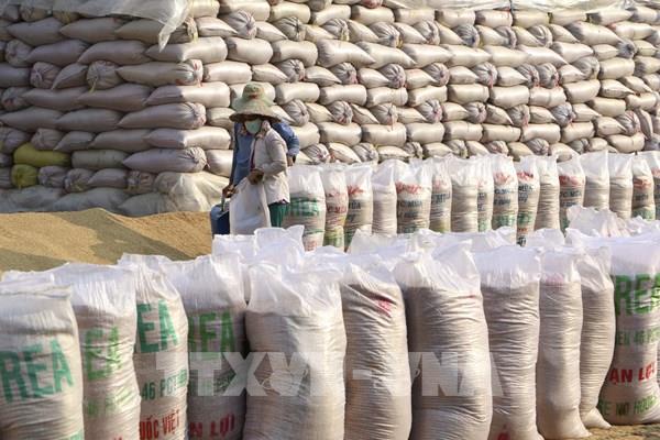 Nhu cầu gạo chất lượng cao gia tăng tại Hàn Quốc