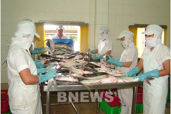 Dự báo nhu cầu tiêu thụ thuỷ sản sẽ phục hồi mạnh mẽ