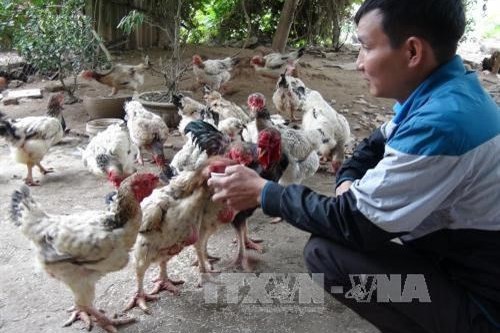 Cơ hội gia tăng xuất khẩu sang Trung Quốc