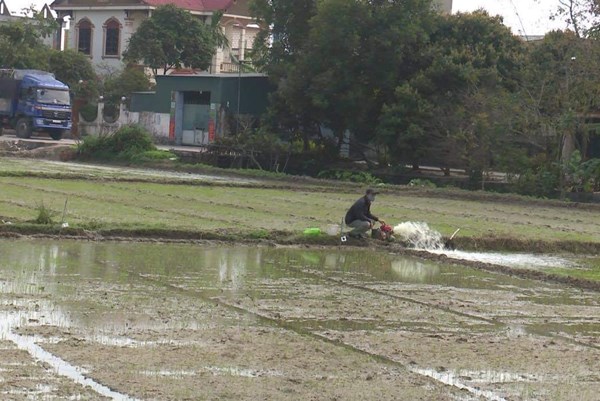 Nông dân ra đồng đầu Xuân, đảm bảo gieo cấy kịp thời vụ