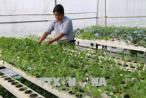 Rà soát kế hoạch sản xuất và cụ thể hóa danh mục vật tư nông nghiệp