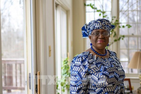 Nhiệm vụ cấp thiết của Tân Tổng Giám đốc WTO