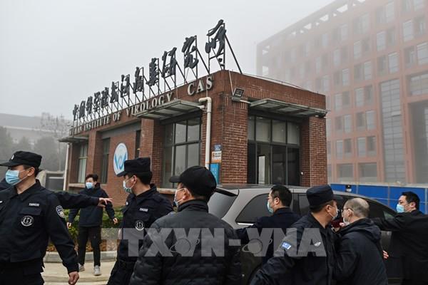 Trung Quốc phản bác chỉ trích của phương Tây về cuộc điều tra nguồn gốc SARS-CoV-2