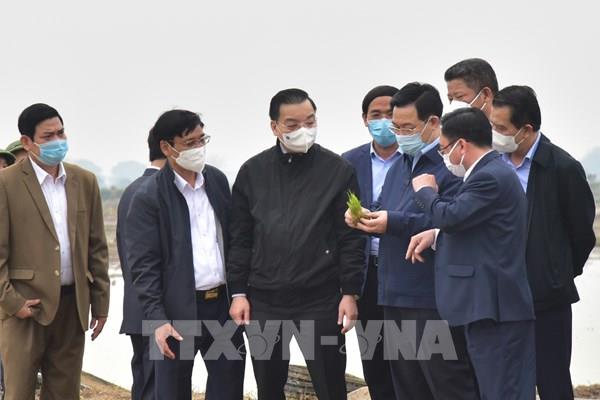 Bí thư Thành ủy Hà Nội: Giải quyết dứt điểm việc giao đất dịch vụ cho người dân