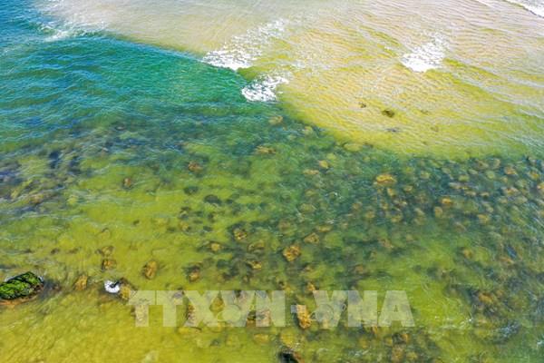 Đẹp lạ mùa rêu xanh mướt ở rạn đá Nam Ô