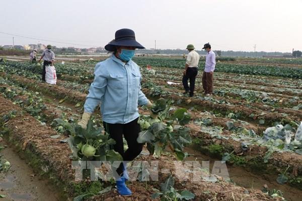 Bộ Công Thương kiến nghị thống nhất việc lưu thông, hạn chế ách tắc hàng hóa từ vùng dịch