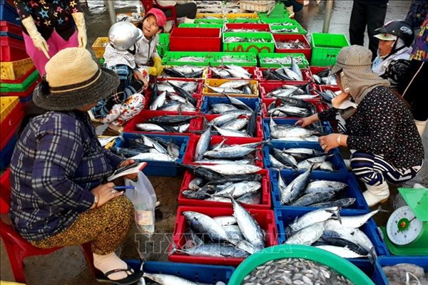 Nhiều mặt hàng thủy, hải sản tăng giá đến 15% nhưng vẫn hút hàng