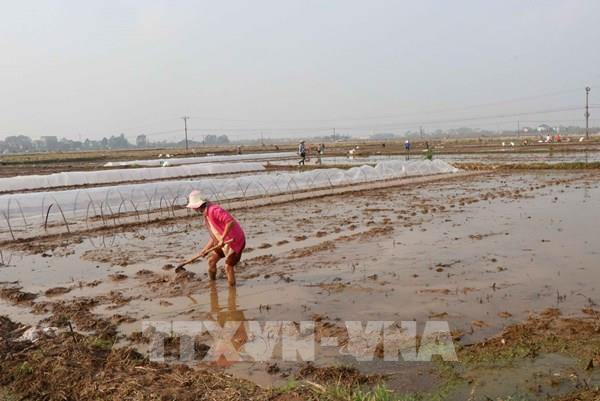 Hà Nội còn 1.100 ha cần nước gieo cấy từ các hồ chứa thủy điện