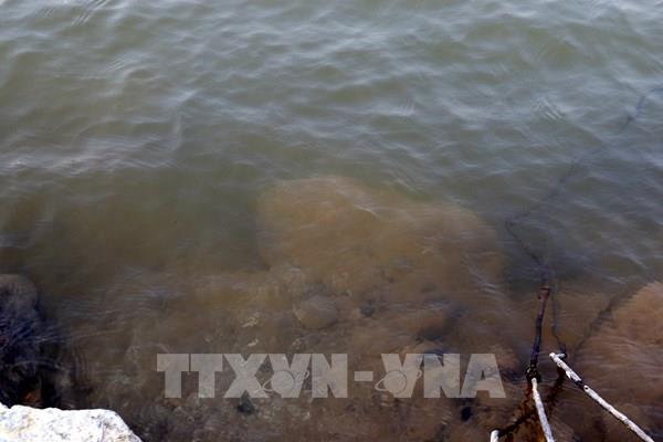 Lào Cai: Nước sông Hồng trong xanh lạ thường