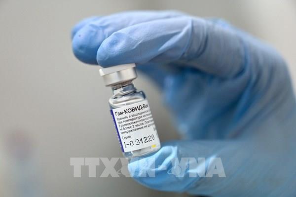 Ai Cập cấp phép sử dụng vaccine Sputnik V của Nga