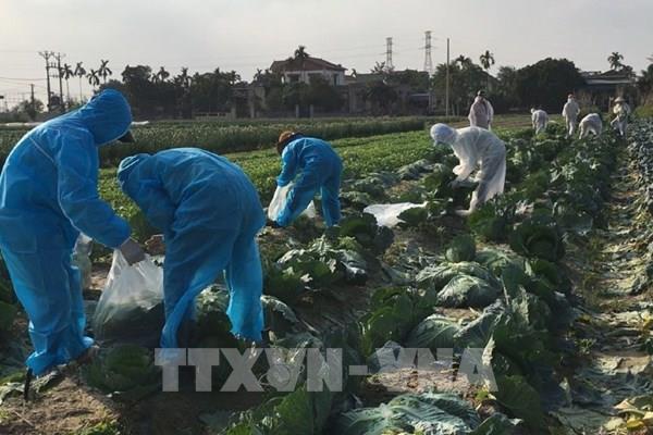 Phòng, chống dịch COVID-19 phải không ảnh hưởng đến hoạt động sản xuất kinh doanh