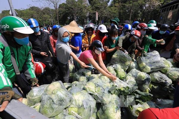 Kinh nghiệm nào để giải cứu nông sản trong vùng dịch?