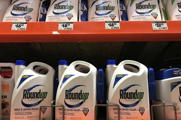 Bayer lỗ nặng do các vụ kiện pháp lý về thuốc diệt cỏ Roundup