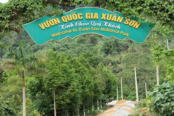 Phú Thọ điều tra vụ phá rừng tại Vườn Quốc gia Xuân Sơn