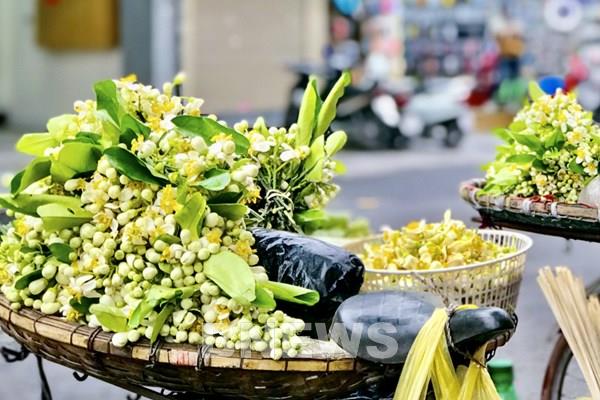 Hà Nội, giao mùa hương Bưởi