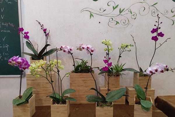 Gợi ý quà 8/3 độc đáo, ý nghĩa với 300 nghìn đồng