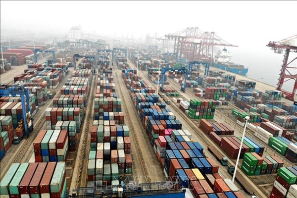 Vận tải container đường biển lợi nhuận kỷ lục trong đại dịch