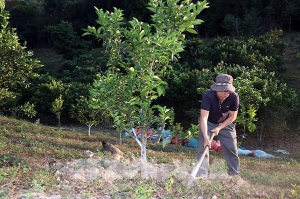 Người dân vùng biên thoát nghèo nhờ nguồn vốn ưu đãi