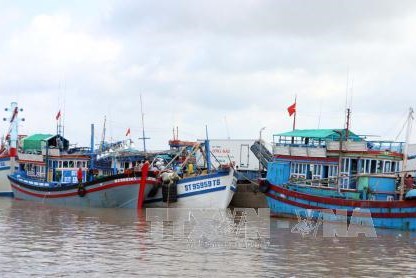 Khắc phục "thẻ vàng" IUU: Việt Nam nỗ lực chống khai thác bất hợp pháp