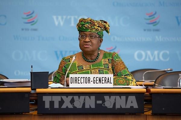 WTO: Căng thẳng thương mại Mỹ-Trung có thể làm giảm 7% sản lượng kinh tế toàn cầu