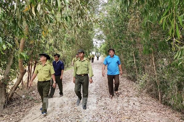 An Giang có gần 7.300 ha rừng dễ xảy ra cháy