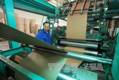 Yếu tố nào sẽ giúp doanh nghiệp sản xuất giấy bao bì tăng trưởng?