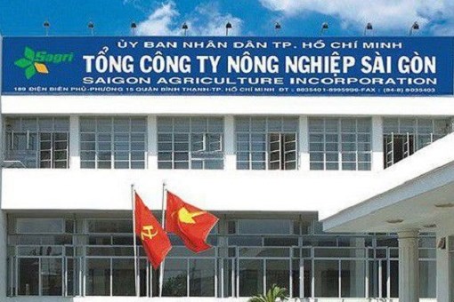 Khởi tố thêm 3 bị can trong vụ án ở Tổng Công ty Nông nghiệp Sài Gòn