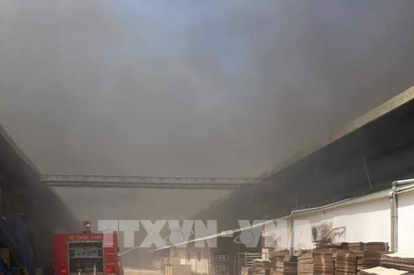 Cháy tại công ty may ở Bình Dương
