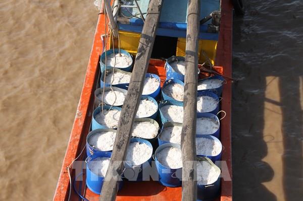 Ngư dân trúng đậm mùa ruốc đầu năm