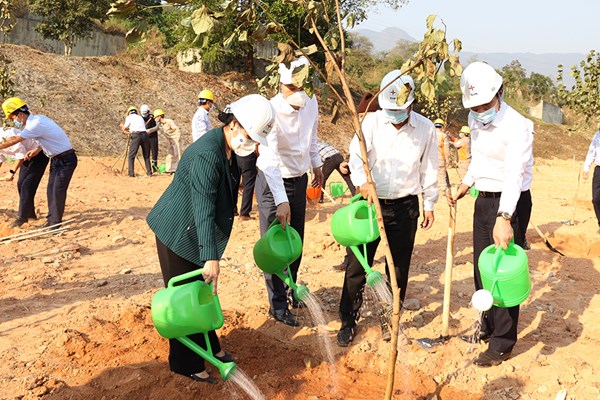 EVN đặt mục tiêu trồng 1 triệu cây xanh giai đoạn 2021-2025