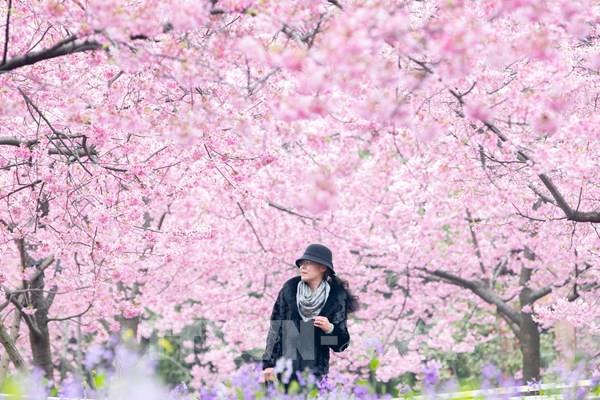 Tổng hợp sự kiện nổi bật trong tuần qua ảnh (từ ngày 1-7/3/2021)