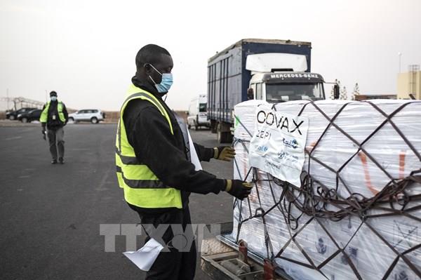 COVAX Facility thông báo cung ứng chậm vaccine cho Việt Nam
