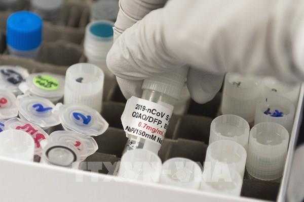 Nhật Bản "bật đèn xanh" sử dụng vaccine ngừa COVID-19 của Novavax